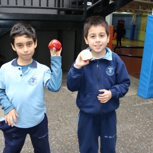 Día de la Actividad Física